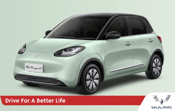 wuling-new-binguoEV-malang